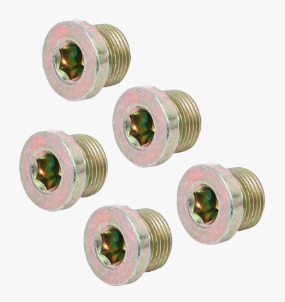 [BGS126-SM20] Olie aftapschroeven  voor BGS 126  M20 x 1,5 mm  5-dlg.