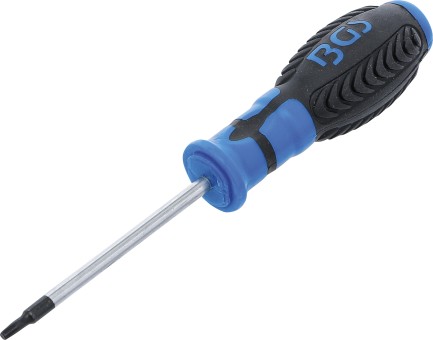Tournevis T15 x 80 mm