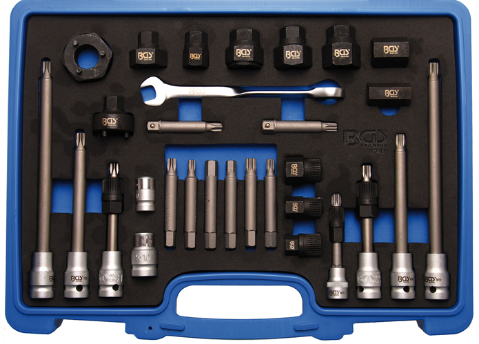 Alternator poelieset