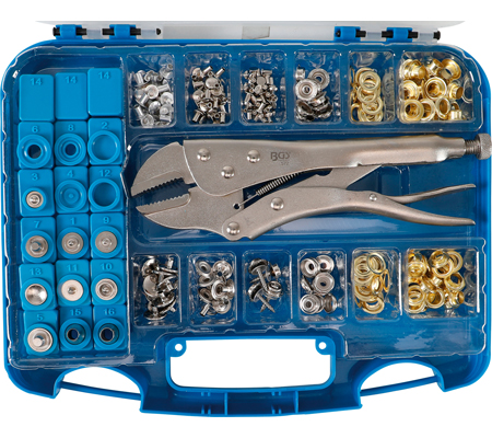 [BGS572] Assortiment d'oeillets
