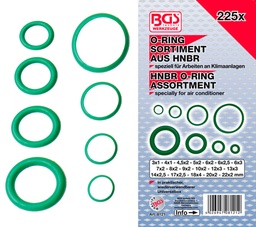 [BGS8121] O-rings HNBR Ø 3-22 mm 225 pcs
