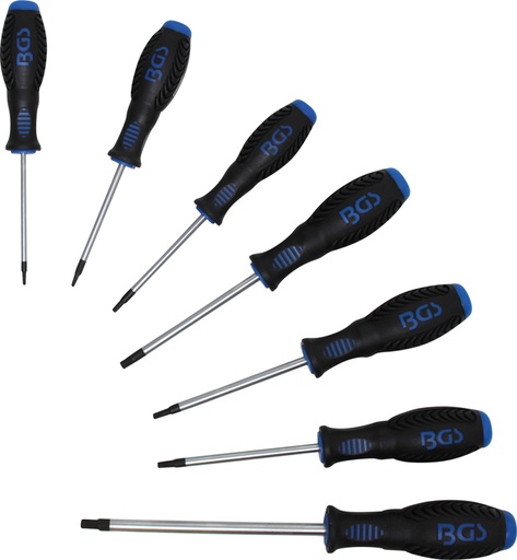[BGS7846] Set schroevendraaiers T10 tot T40